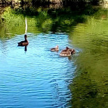 Angelo's Pizza Exterior