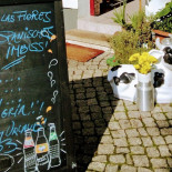 Super Tacos Panchito Boisson