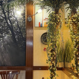 Taqueriapizzasuay Notcaucelmerida Esterno