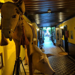 Pizzas Chabelita Dentro