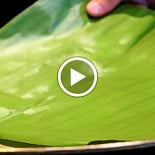 Carolo Interlomas drink