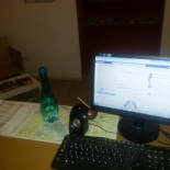 Bauhouse Hostel Carta