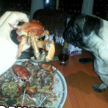 La Cangrejada De Pedro Bebida