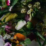 Finca Cocoyoc Boisson