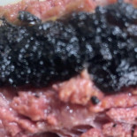 Super Tacos Nourriture