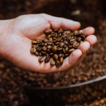 Espíritu Inquieto Bebida