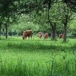 Mariscos El Pari Exterior