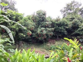 Centro Ecoturístico Rincón De Hadas food