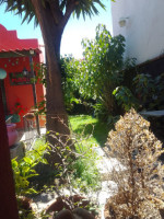 Casa Pueblo outside