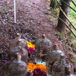 La Perla De Tzitzio Comida