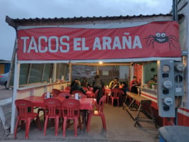 Tacos La Rana food