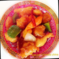 Yan Yan Comida China food