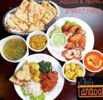 Everest Tandoori food