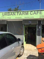 Urban Farm Cafe food