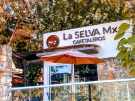 La Selva Mx Cafetaleros outside