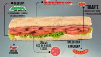 Sandwich food