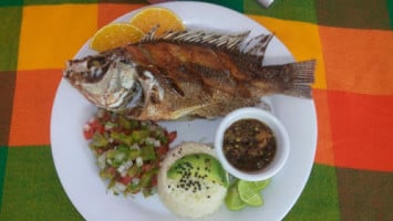 Toldito Fish food