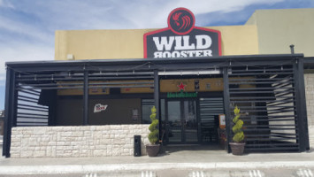 Wild Rooster Las Torres outside