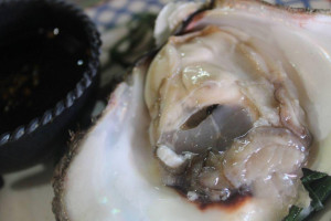 Mariscos Cabo Seafood (el Bordo) food