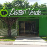 Albahaca Cocina Saludable Extérieur