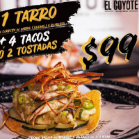 El Coyote Cerveceria Chetumal food