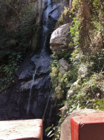 Cascada Y Bosque food