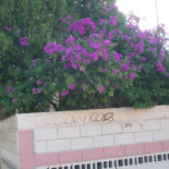 Tortilleria Los Guerra Extérieur