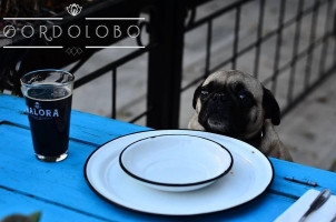 Gordolobo food