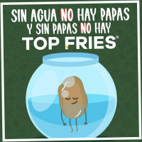 Top Fries food