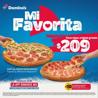 Domino's S.l.p. Rutilo food