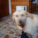 Antojitos Mexicanos La Chiquita outside