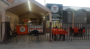 Dogos Burros Sonora food