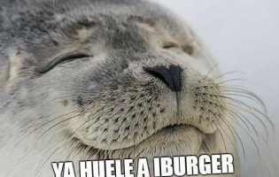 Somos Iburger food