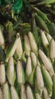 Elotes, Esquites Y Tamales De Elote outside