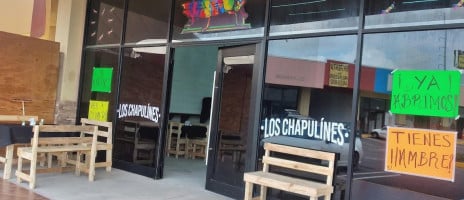 Los Chapulines outside