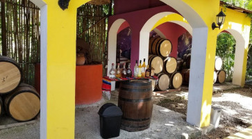 Mi Mexico Lindo Tequila Tour Comida