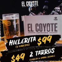 El Coyote Cerveceria Chetumal food