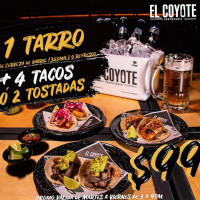 El Coyote Cerveceria Chetumal food