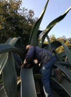 Pulques El Nectar Tepozteco outside