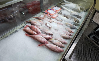 Fish Mart food