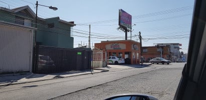 El Burro Percheron outside