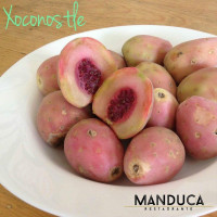 Manduca food