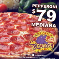 Mr. George Pizza food