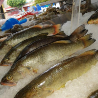 Pescaderia De La Torre food