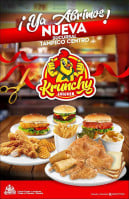 Krunchy Chicken (tampico Centro) food