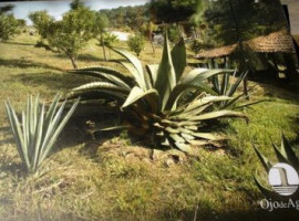 Ojo De Agua food