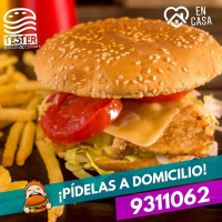 Tester Burger food