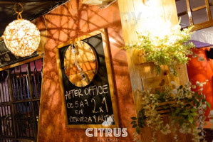 CITRUS RESTOBAR inside