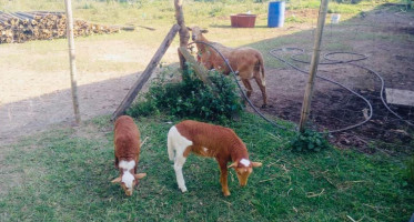 Campestre El Truchal outside