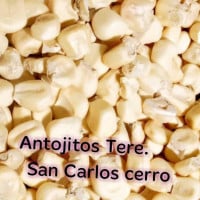 Antojitos Tere, San Carlos. food